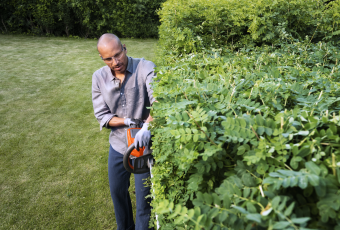 Jardinagem como negócio: como transformar sua paixão em uma fonte de renda lucrativa 